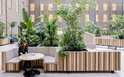 Circulaire pionier Furnify groeit verder onder de vlag van D/DOCK