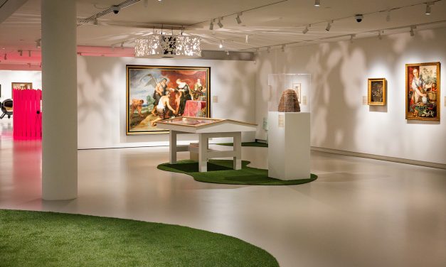 Kunst(ig)gras siert Noordbrabants Museum