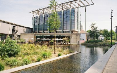 Nieuwe Instituut benoemt Yesomi Umolu tot nieuw algemeen en artistiek directeur