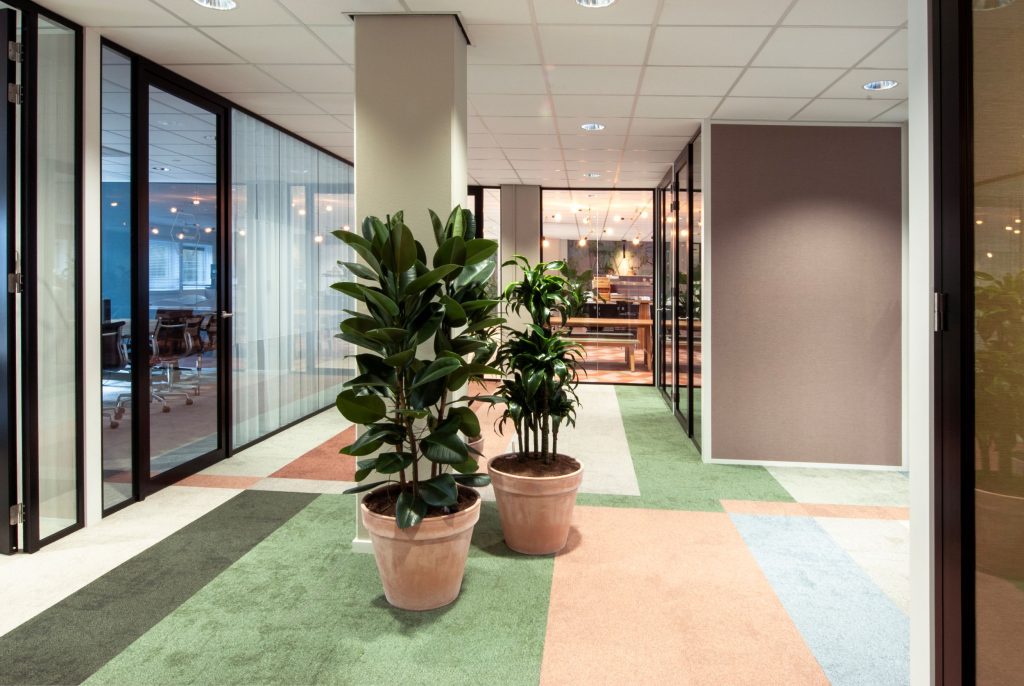 Cazas Wonen