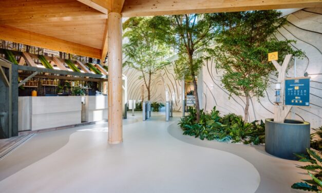 KuóStudio wint twee Biophilic Design Awards met Bever Basecamp